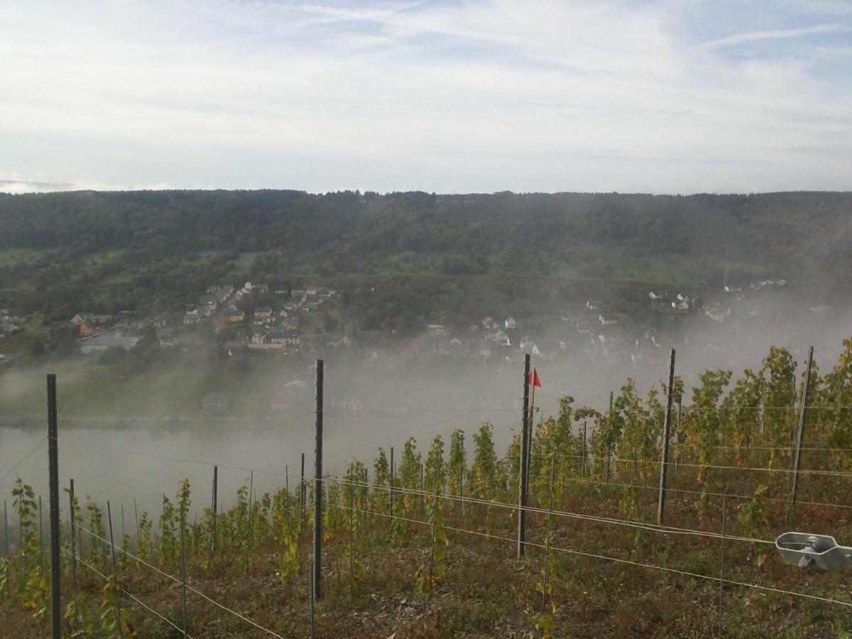 Ferienwohnung-Vinothek Keifer Kinheim Luaran gambar