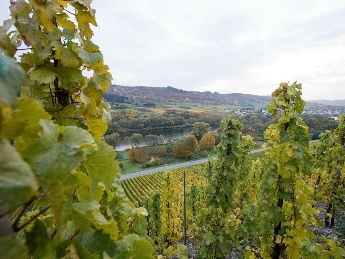 Ferienwohnung-Vinothek Keifer Kinheim Luaran gambar